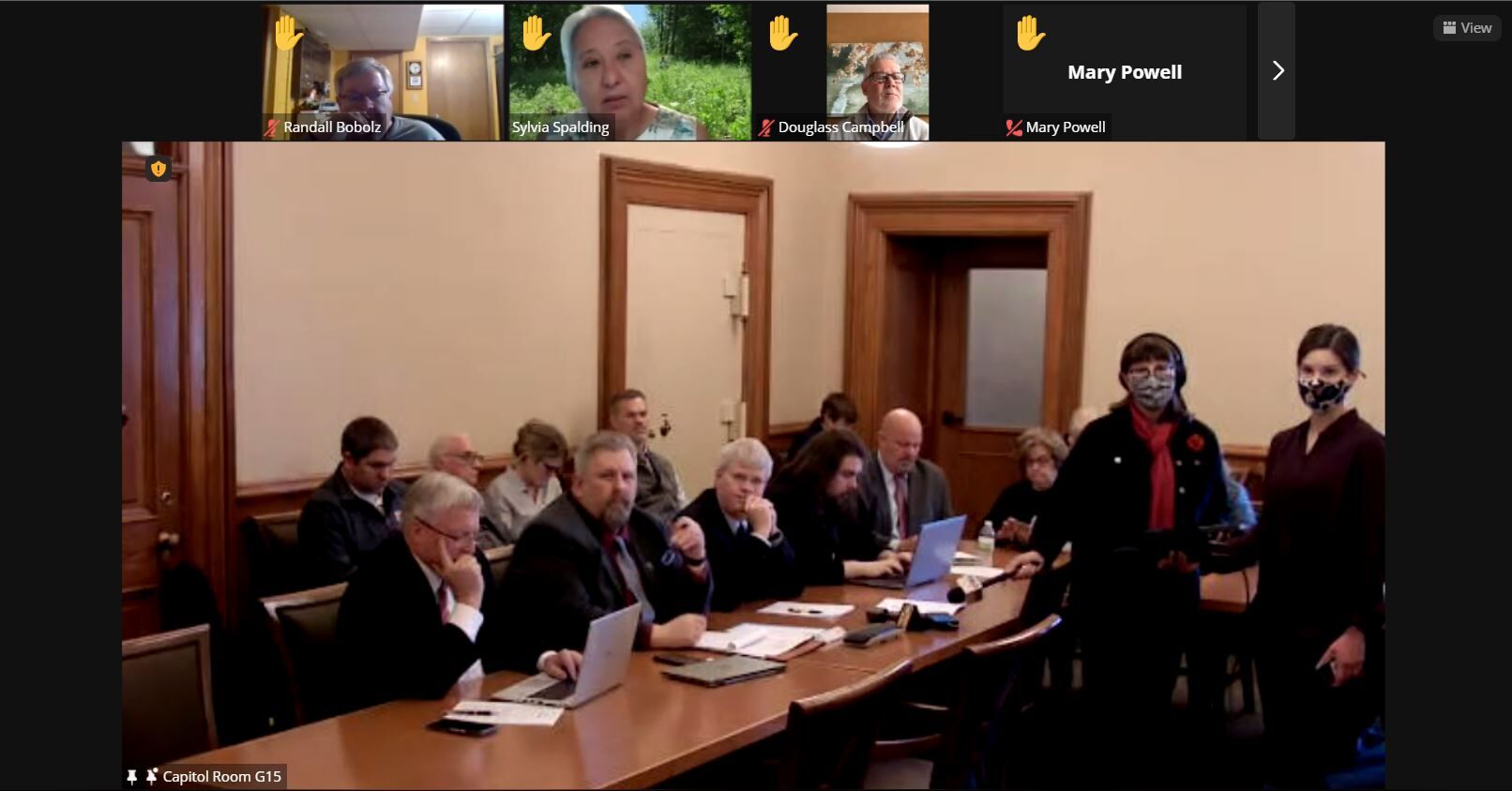 Senate File 2160 subcommittee hearing